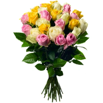 Miksētu krāsu rozes 70 - 80 cm - 101