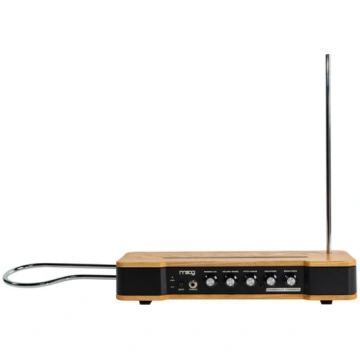 MOOG Etherwave Theremin