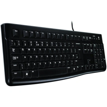 Klaviatūra LOGITECH K120 USB ENG/Melna 920-002509 