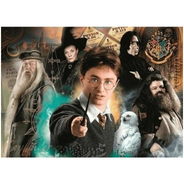 Clementoni CLE puzzle 500 Compact HarryPotter 3553
