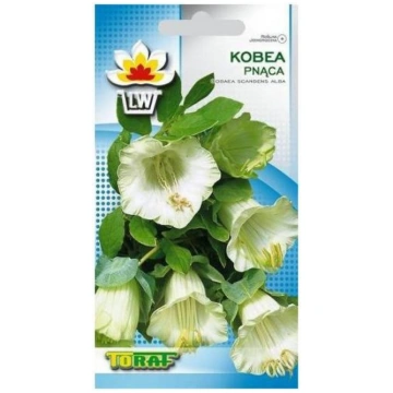 BALTA Kobeja 6 sēklas 5907595506618