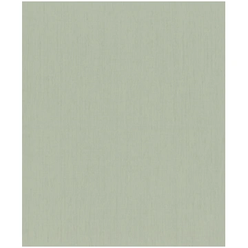 Tapetes Rasch 746136, vinila, zaļa krās