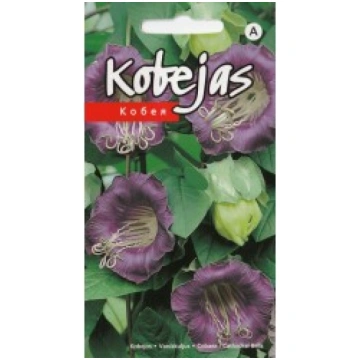 KOBEJAS VIOLETAS KURZEMES