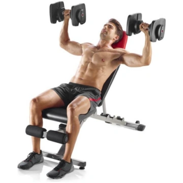 Bowflex 560 Select Tech dumbbells 100825*NA