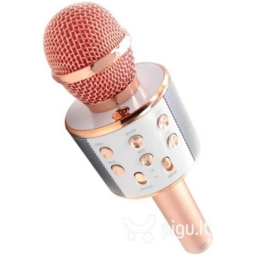 Karaoke mikrofons Royal Song WS-858