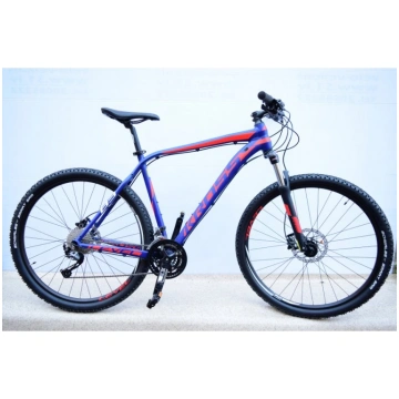 Kross Level B3 (2020)