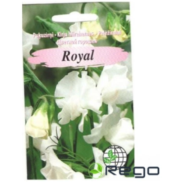 Puķuzirņi Royal balti AMC 2g
