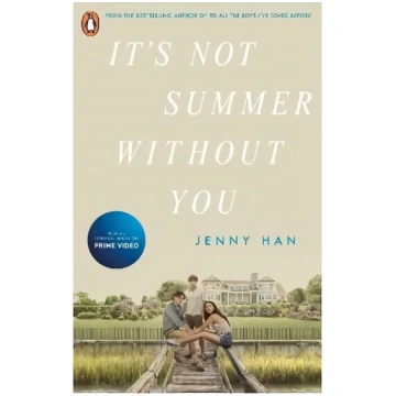 It"s Not Summer Without You: Book 2 in the Summer