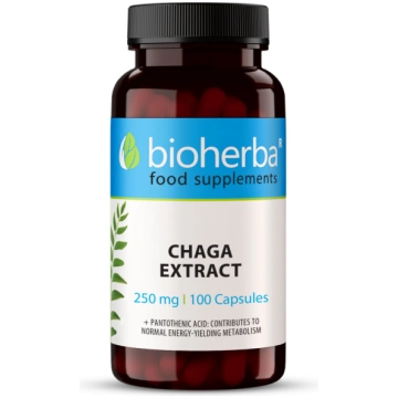 Bioherba Chaga extract 250mg 100 capsules