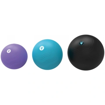 LIVEPRO Gymnastics Ball 75 cm