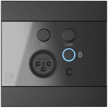 AUDAC WP225/B Wall Panel, XLR mic + 3.5 mm jack, B