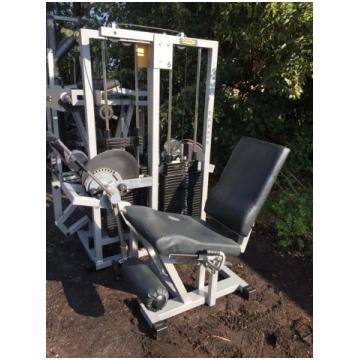 Technogym Leg Extension isotonic line