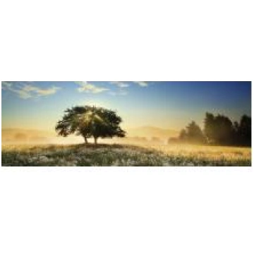 Puzzle Play of Light 1000 pz heye