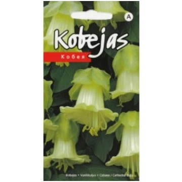 KOBEJAS BALTAS KURZEMES