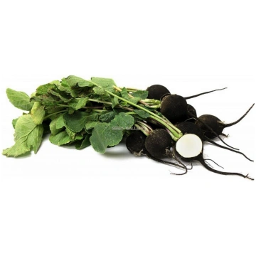 Rutki melnie Nero Tondo D'Inverno, 100 gr, Ci
