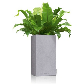 Puķu pods Lechuza Canto Stone high