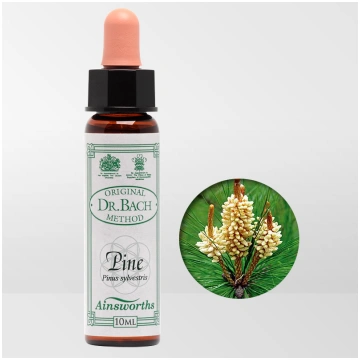 Priede / Pine, 10 ml