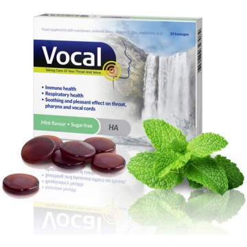 Uztura bagātinātājs sūkājamās pastilas, Vocal HA M