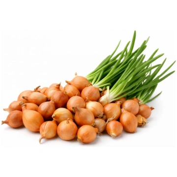 Sīpoli lokiem 1kg, Sīksīpoli, ķiploki, Sēklas - Ag