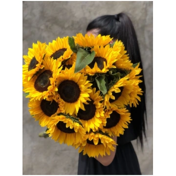 SUNFLOWER TWO