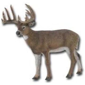 COLLECTA White Tailed briedis, 88832 127126