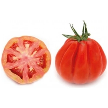 Pomodoro Cuore di bue ARALDINO RZ