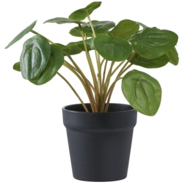 Pelia koka māksla 28cm augsta zaļa