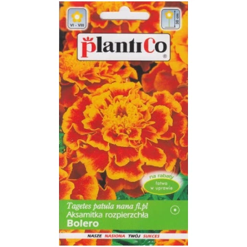 Samtenes zemās Bolero. 1g