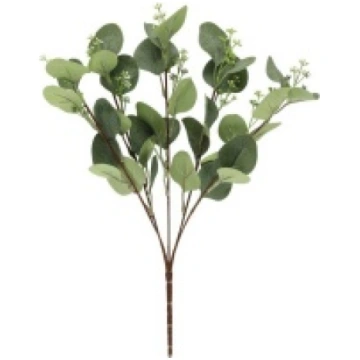 Zariņš dek. Eikaliptu 42cm 4Living 149626