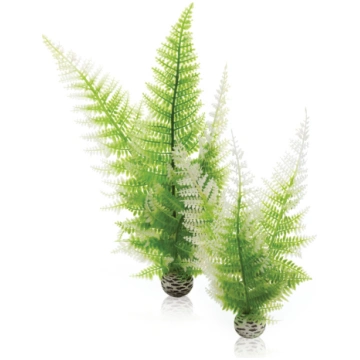 Oase biOrb Aquatic Winter Fern Set 2 46066