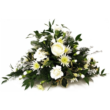 Sēru florete Nr.5