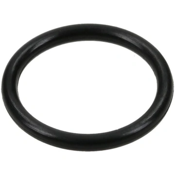 Spicer Dana O ring gredzens 001051251