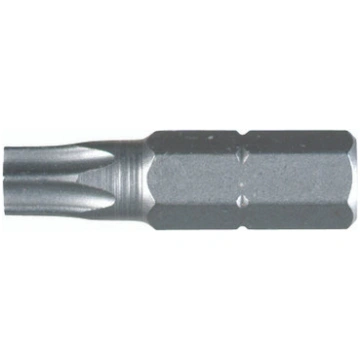Wiha 70129 - Security Torx Insert Bit T9s - 10 Pac