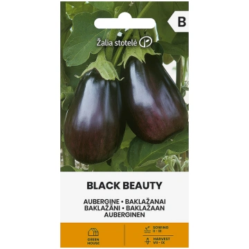 Sēklas Baklažāni BLACK BEAUTY 0.5g 4770168104020