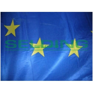 Eiropas Savienības karogs mastam 100x200cm K002-3 