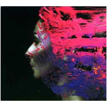 Lietots - CD Steven Wilson - Hand. Cannot. Erase. 