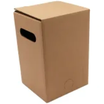 Kartona kaste sulas maisam, 5 l