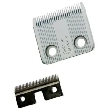 Moser Primat asmens bloks