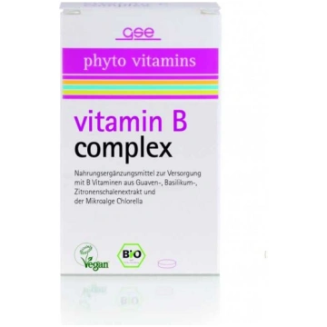 Vitamīnu komplekss Phyto Vitamins Gse Vertrieb Vit