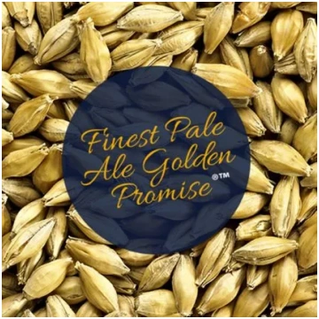 GOLDEN PROMISE malt - 100 g