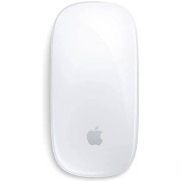 Apple Magic mouse Office Ambidextrous Bluetooth | 