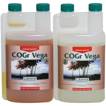 2x1L Amnesia.lt