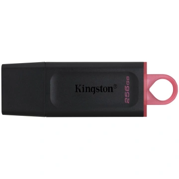 Kingston DataTraveler Exodia DTX/256GB, 256 GB, US