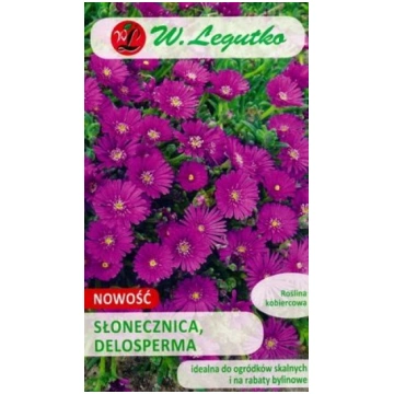 Delosperma ecklonis 0.02 g W.Legutko 12/2027