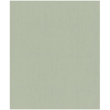 WALLPAPER VINYL 746136 TEXT LIGHT GREEN 746136 (40