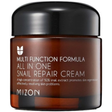 MIZON All In One Snail Repair Cream