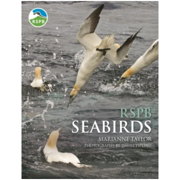 RSPB Seabirds Marianne Taylor