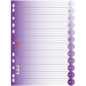 Dokumentu sadalītājs Colour 12, violets - 10665956