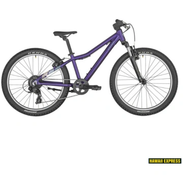 24 REVOX 24 PURPLE 24" lillā bergamont