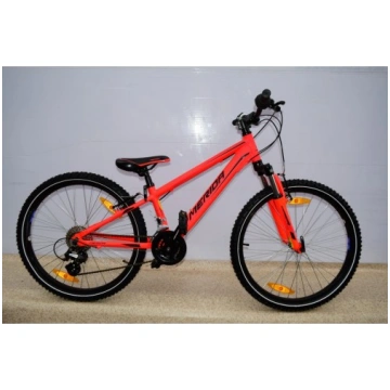 Merida matts J24